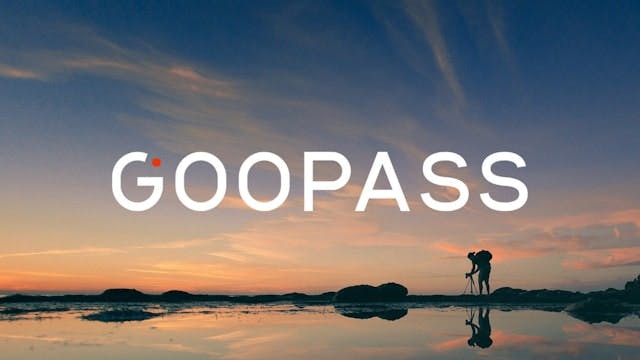 安藤が「GOOPASS」運営のカメラブ社エクスペリエンスアドバイザーに就任いたしました
